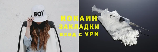 прущая мука Ельня